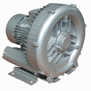 Biogas Booster Pump 120W–350W
