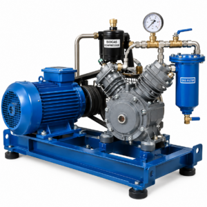 Biogas compressor for increasing gas pressure in renewable energy systems